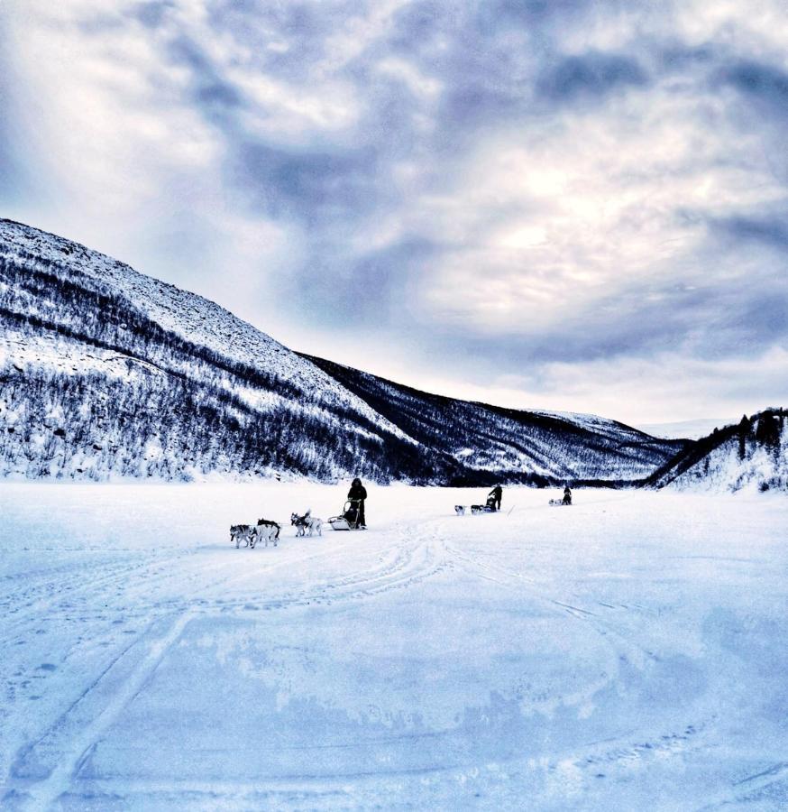 Levajok Lodge Tana エクステリア 写真