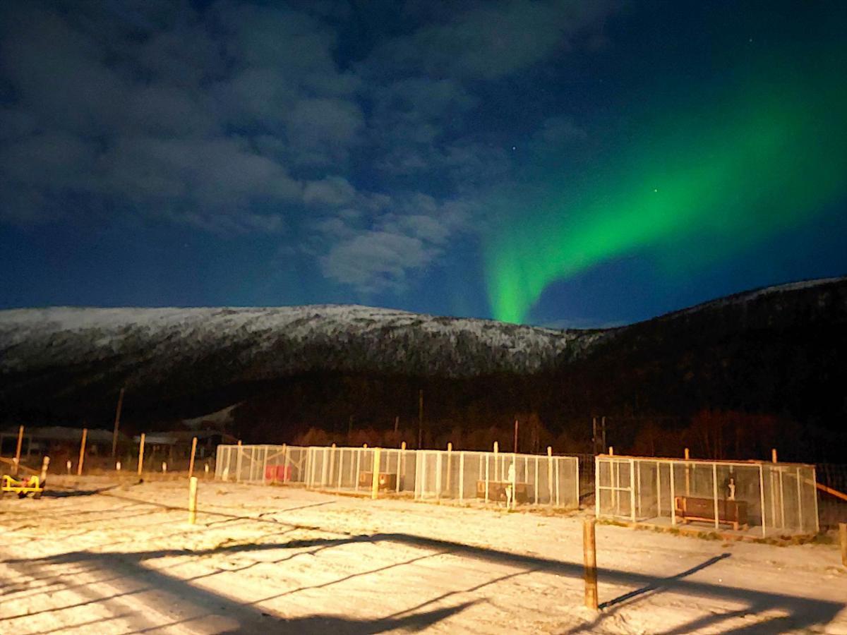 Levajok Lodge Tana エクステリア 写真